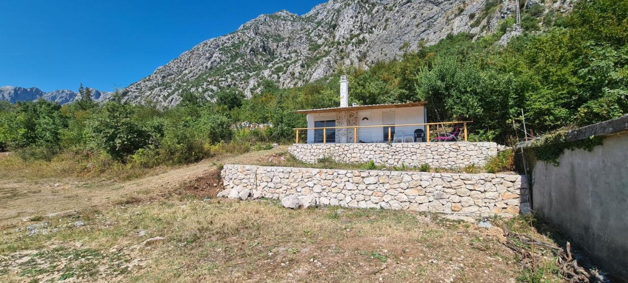 Home Of Laurel Котор Экстерьер фото